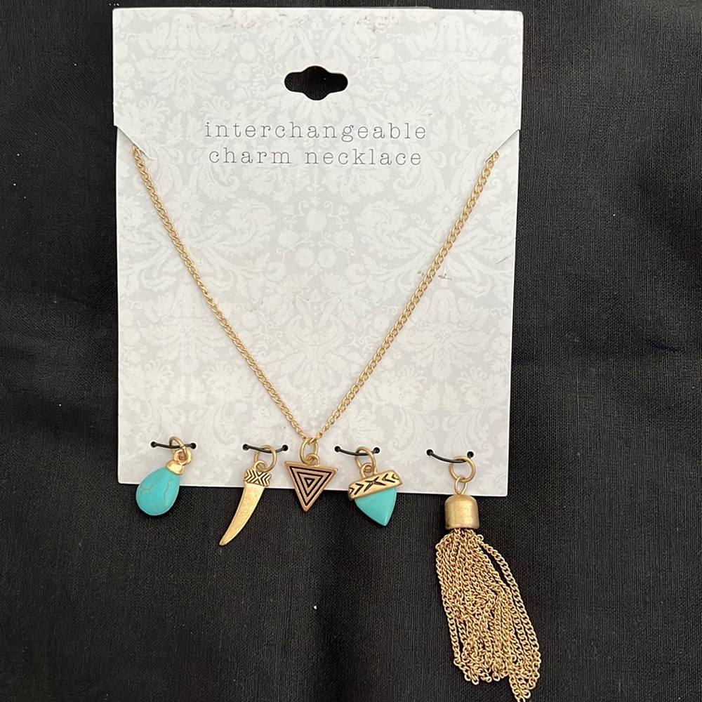 Interchangeable charm necklace